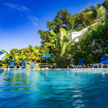 Cozy And Central Apartment 1Br-1Ba With Pool Sosúa 外观 照片