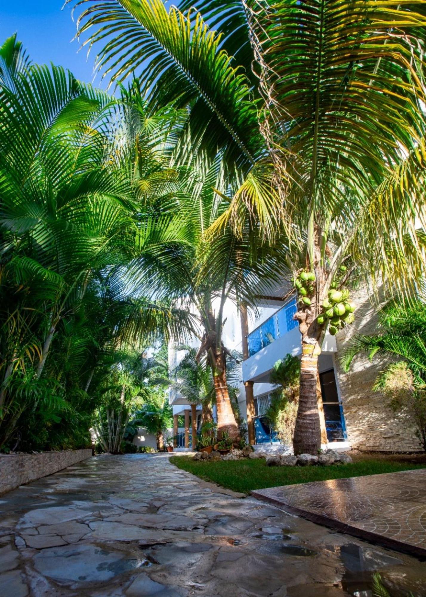 Cozy And Central Apartment 1Br-1Ba With Pool Sosúa 外观 照片